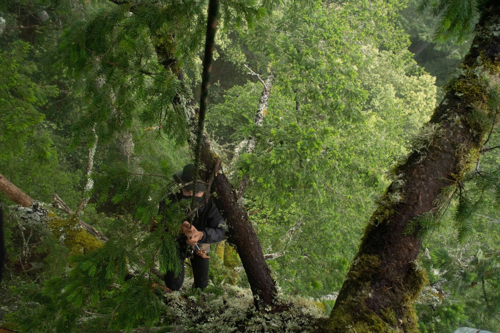 A person wearing a mask climbing ropes on a tree