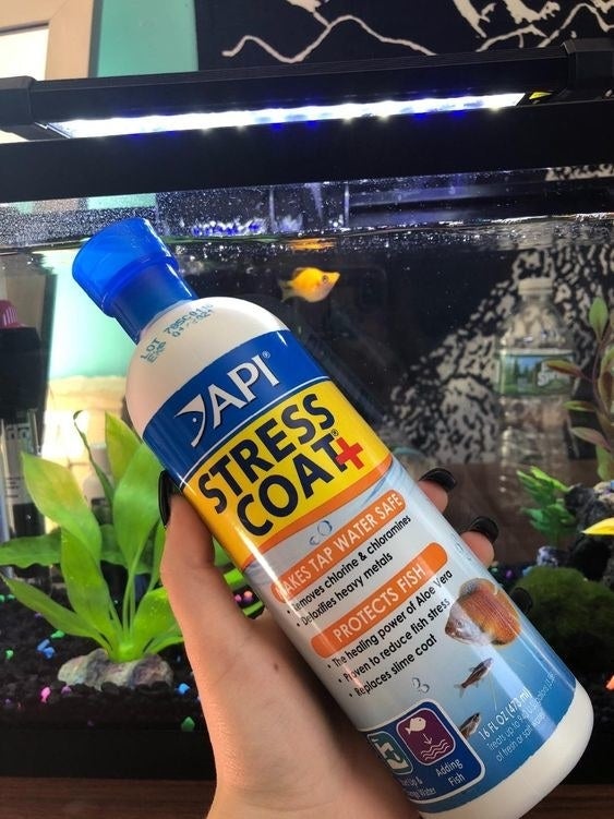 Person holding the bottle in front of a clean fish tank