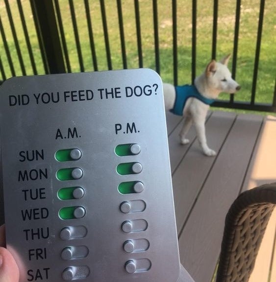 DID YOU FEED THE DOG? - Dog Feeding Reminder, The Original Feed
