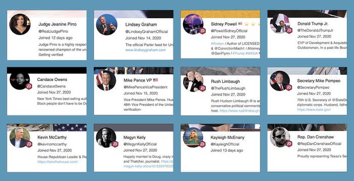 The user bios for fake accounts masquerading as Judge Jeanine Piro, Lindsey Graham, Sidney Powell, Donald Trump Jr, Candace Owens, Mike Pence, Rush Limbaugh, Mike Pompeo, Kevin McCarthy, Megyn Kelly, Kayleigh McEnany, and Dan Crenshaw