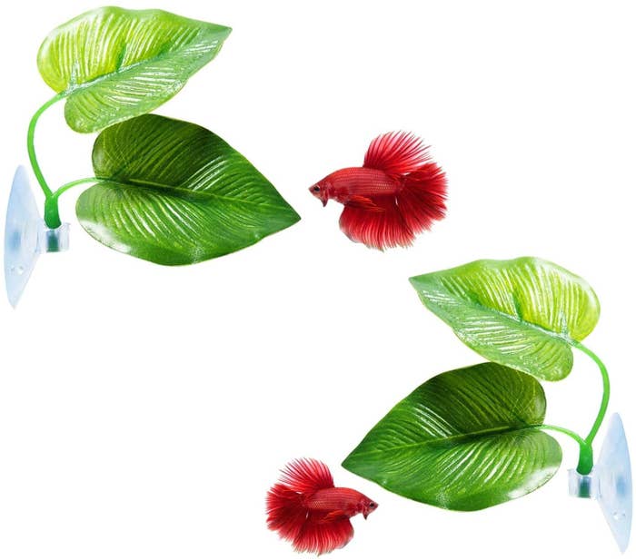 The mini leaf decorations with suction cups