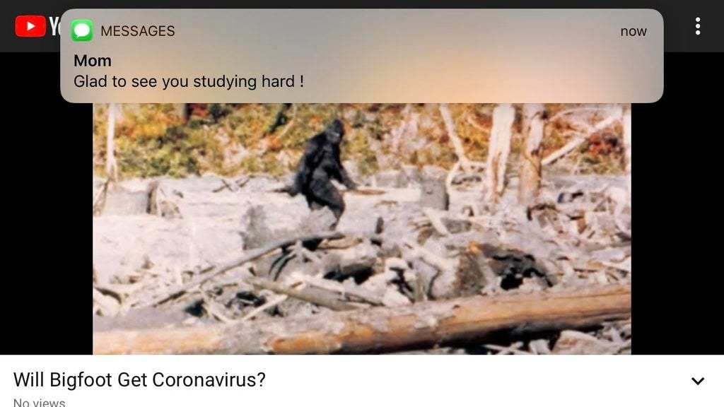 a mom says glad to see you studying hard and it's someone watching a video called will bigfoot get coronavirus