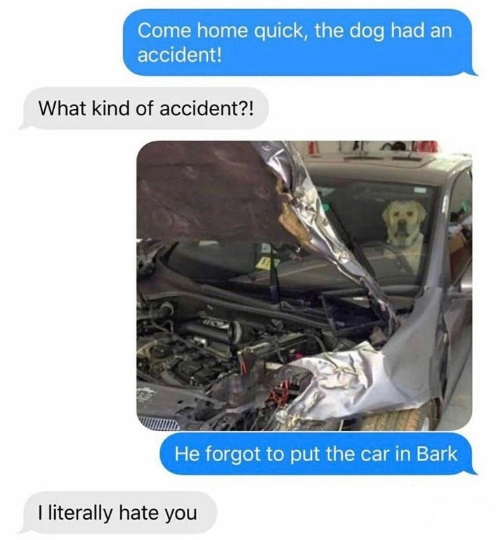 one person texts the other that there has been an accident and they freak out and say what happened and they send a picture of a dog in a car that says he forgot to put the car in bark