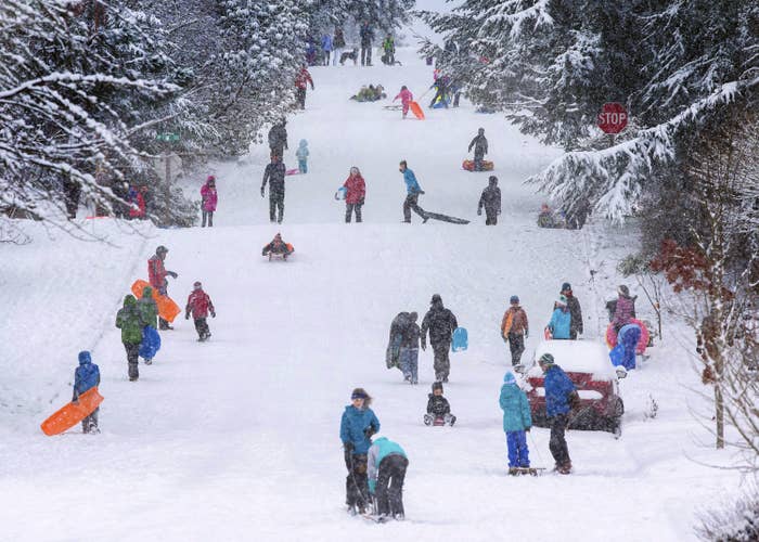 Children and adults use sleds on a snowy hill 