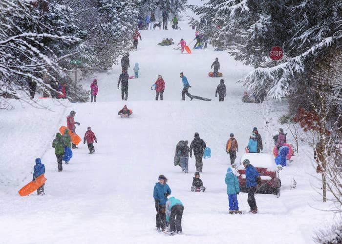 Children and adults use sleds on a snowy hill