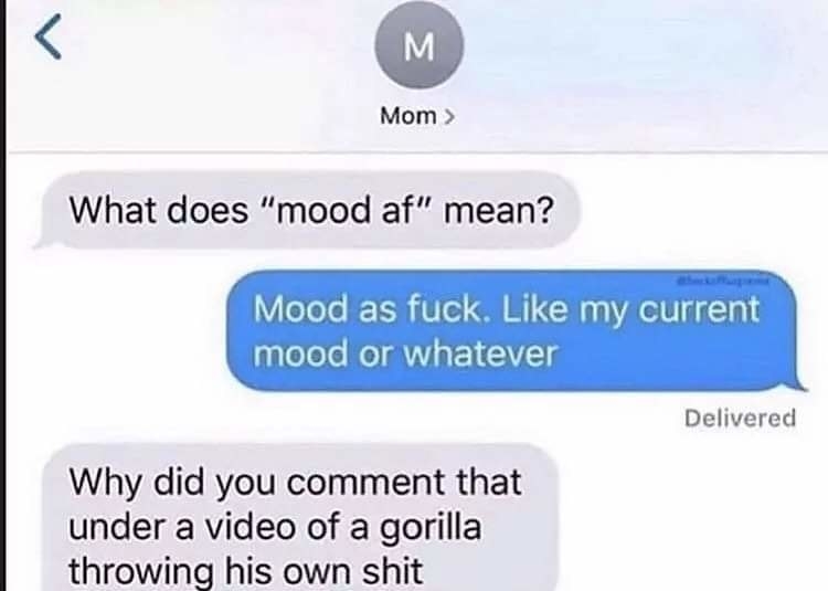 mom asking what does mood af mean and the person explains it and they ask why did you comment that under a video of a gorilla throwing shit