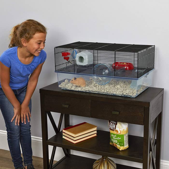 Hamster cage on top of a table 
