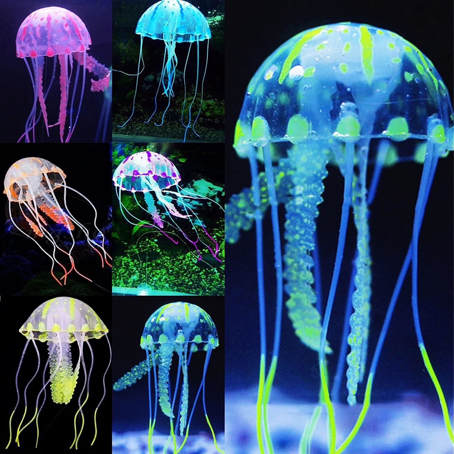 The neon jellyfish 