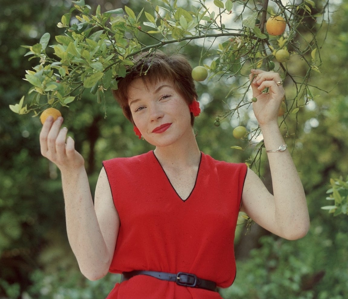 Shirley MacLine in a red top picking holding an orange tree branch