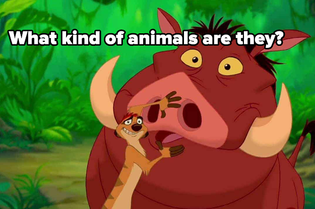 what kind of animals are they? with pictures of timon and pumbaa