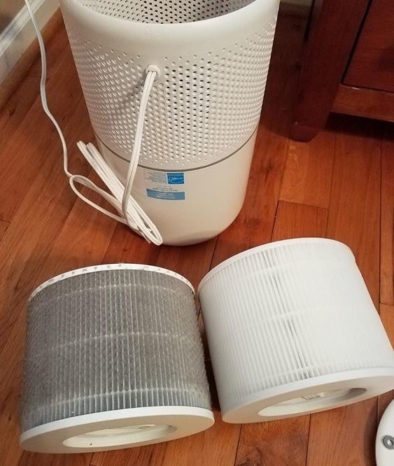 Reviewer&#x27;s before-and-after of dirty filter next to clean filter