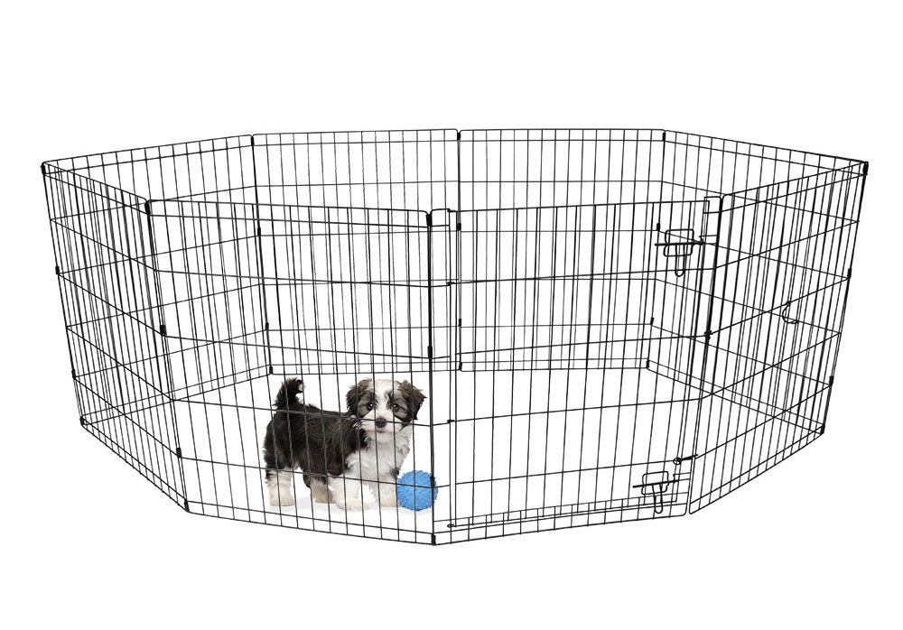 puppy and a ball inside a playpen