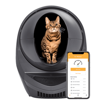 The black litter box and a smartphone open to the compatible app