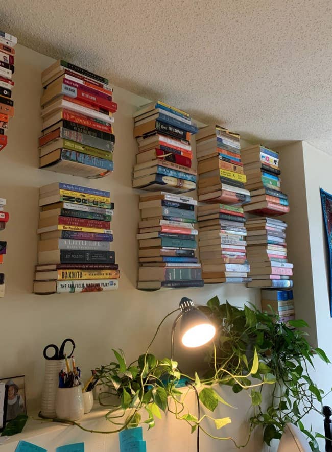 Ten hidden bookshelves holding books