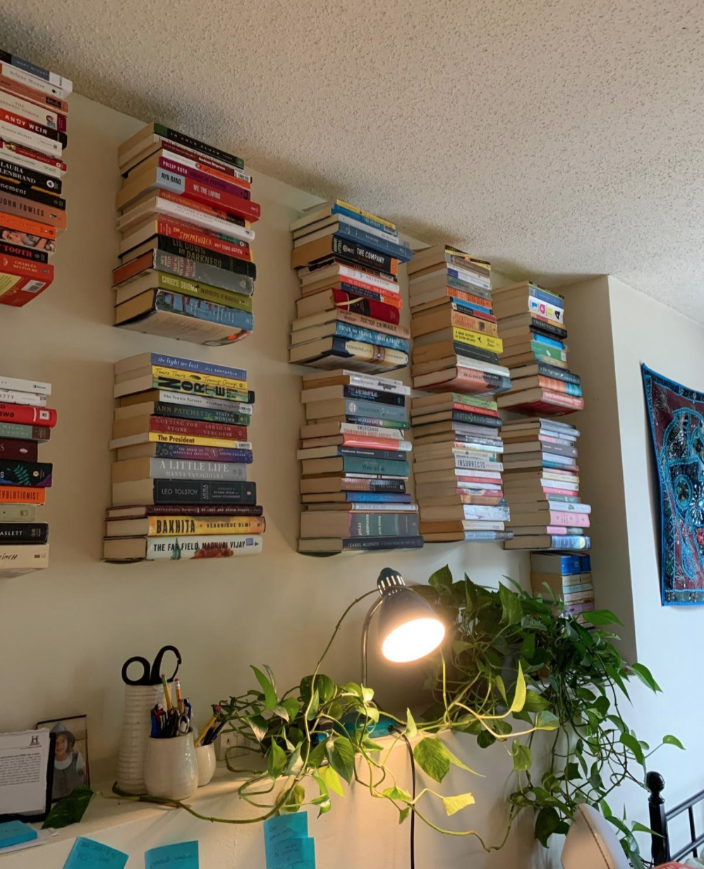 A reviewer&#x27;s books on the invisible shelves