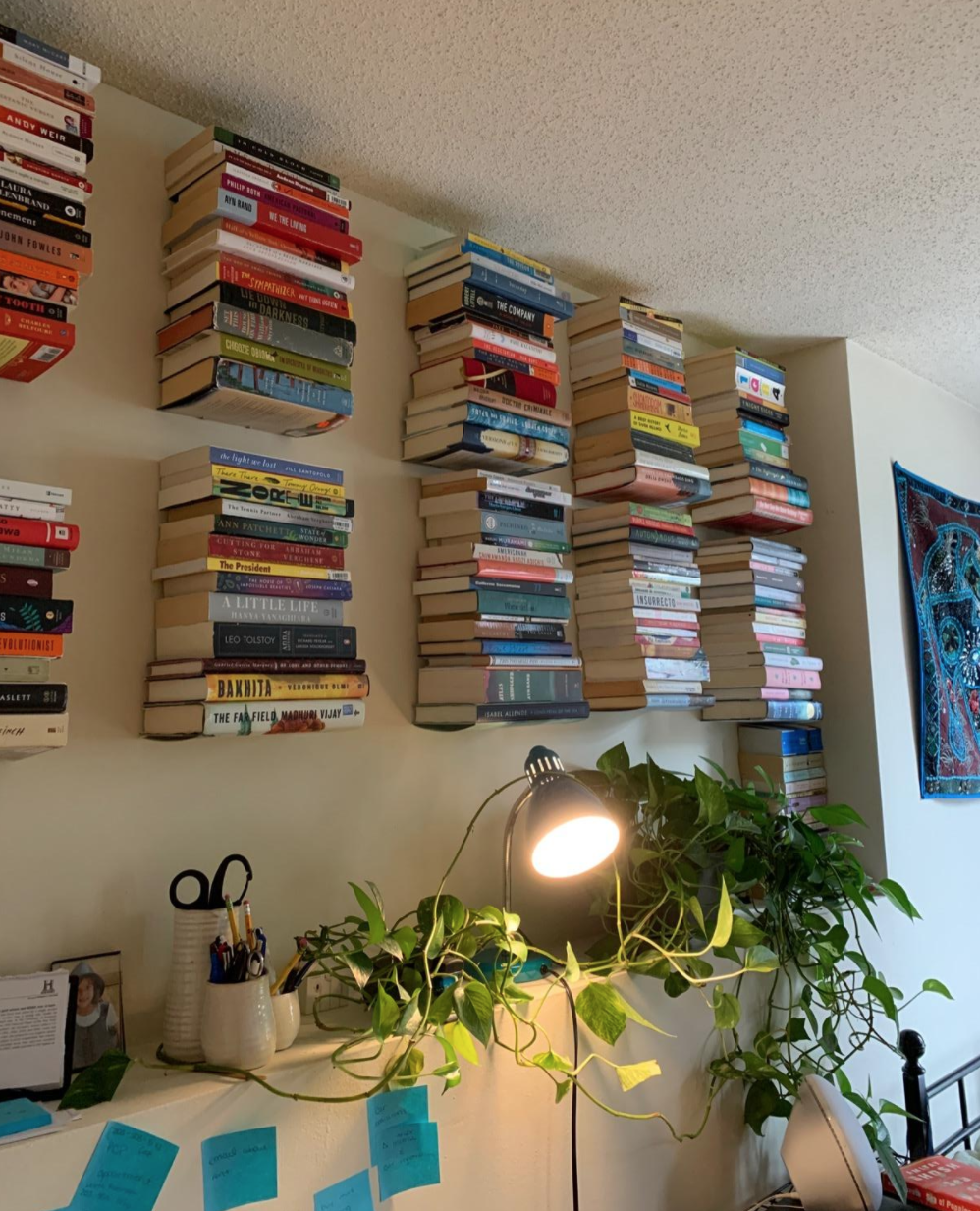 A reviewer&#x27;s wall filled with books