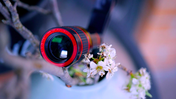 One of the lenses 