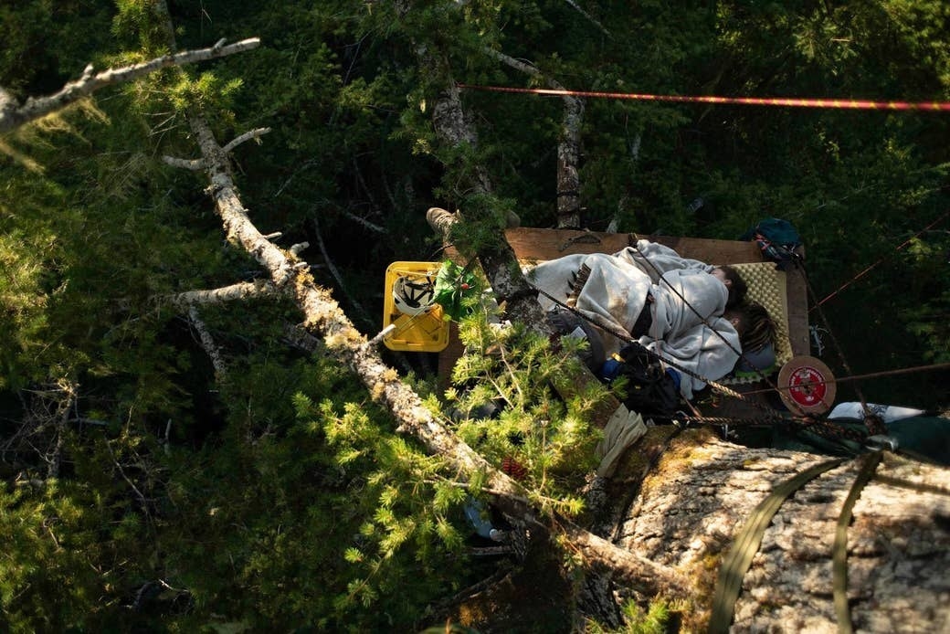 An overhead view of two people lying down and camping among tree branches