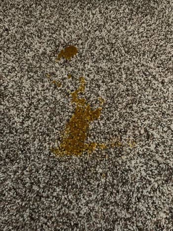 Reviewer's photo of their cat's orange vomit before cleaning