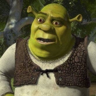 45 Shrek aesthetics ideas  shrek, shrek memes, dreamworks