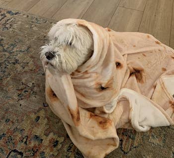 reviewer photo of their dog wrapped in the tortilla blanket