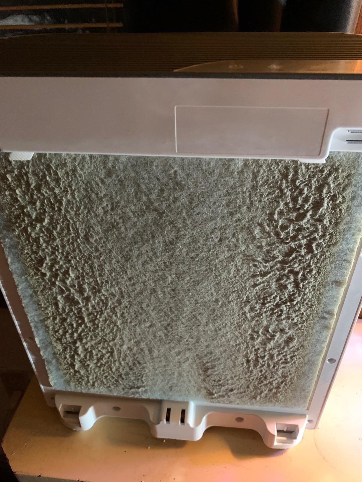 Reviewer&#x27;s photo of their white air purifier after catching gray and brown particles in the air