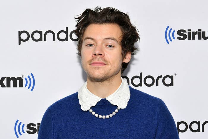 Harry Styles at a red carpet event