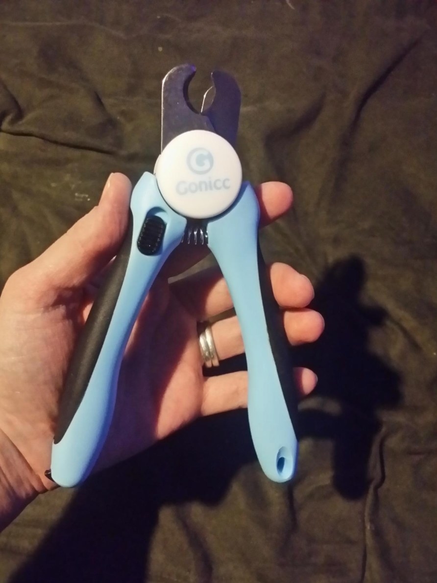 The pet nail trimmers in blue 