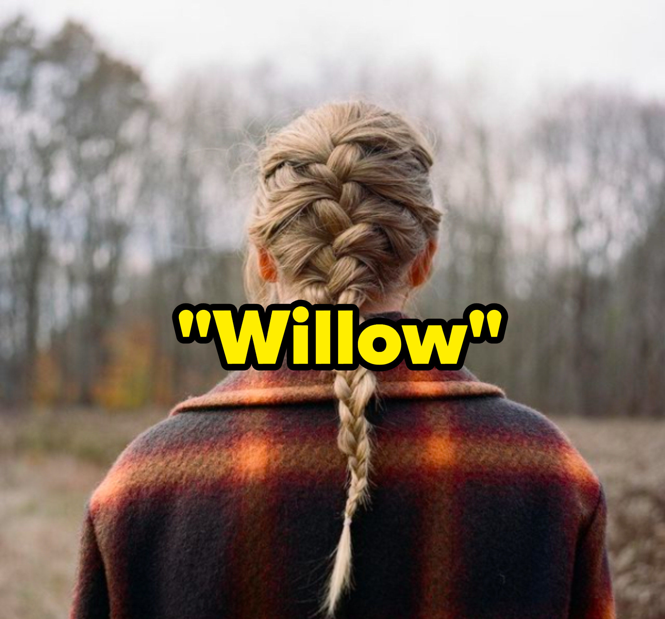 "Willow" written over the "Evermore" album cover