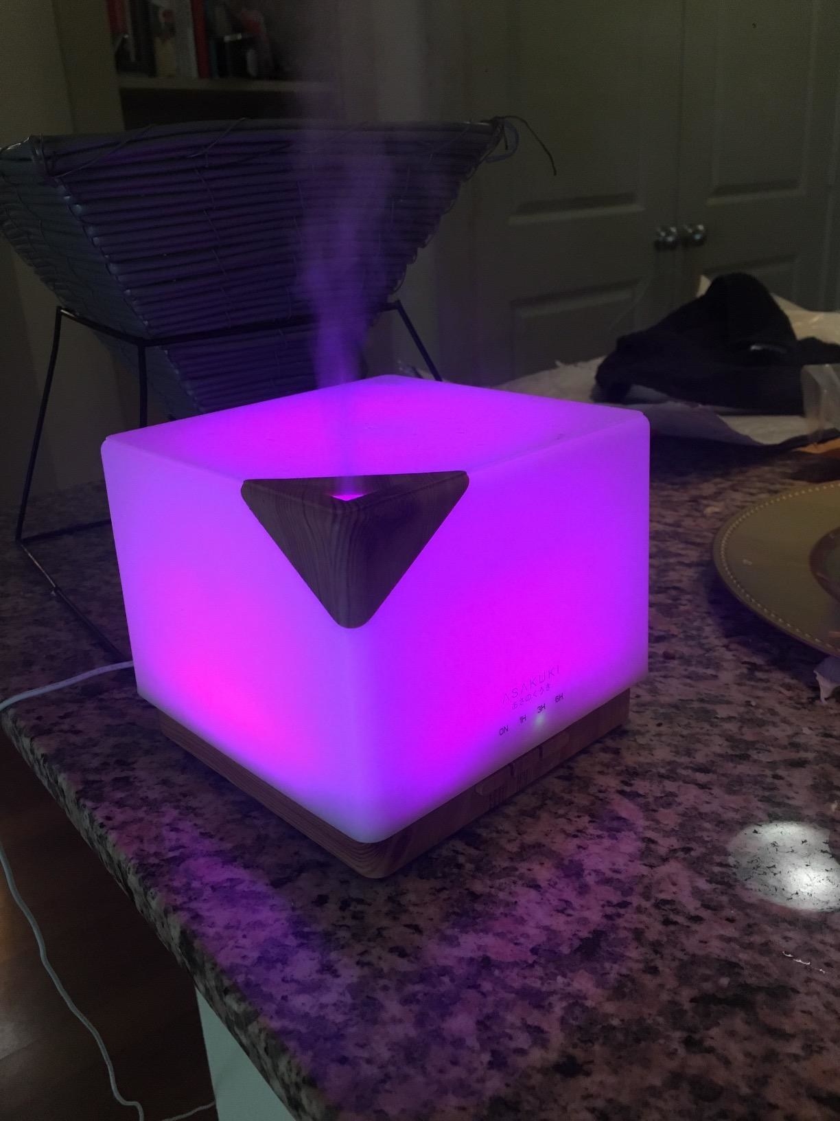 Reviewer diffuser on kitchen table
