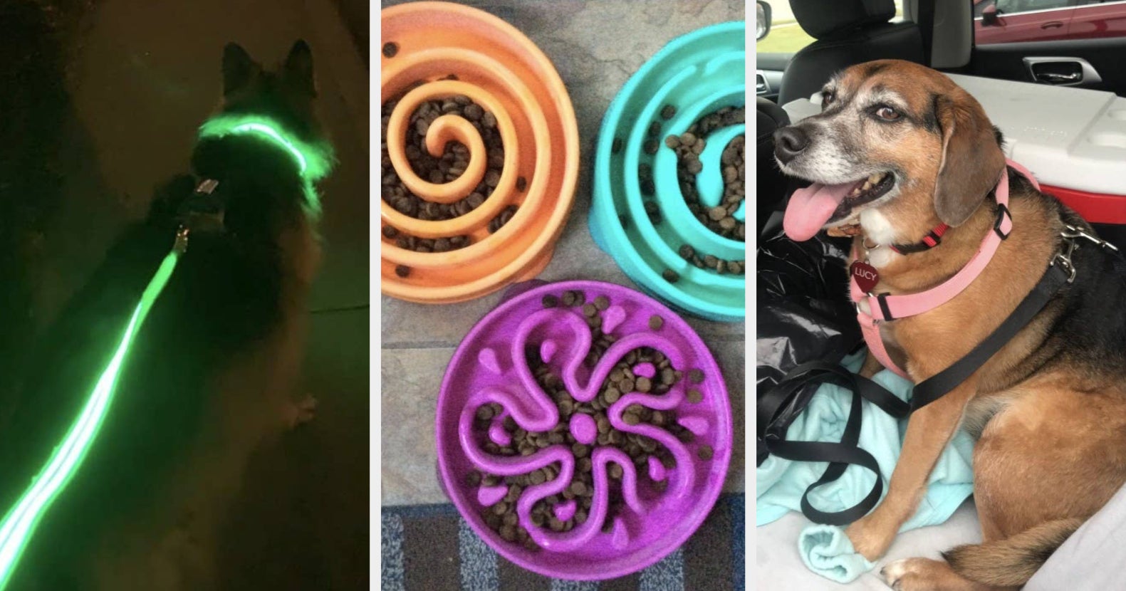 28 Amazon Pet Products That Are Clever Solutions