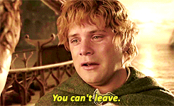Samwise Gamgee saying &quot;You can&#x27;t leave&quot;
