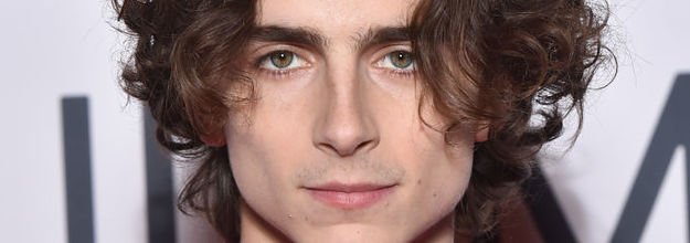 Timothée Chalamet's Harness Continues to Break the Internet