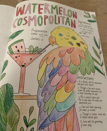 reviewer photo of a colored page with a bird sipping a watermelon cosmopolitan with a provided recipe