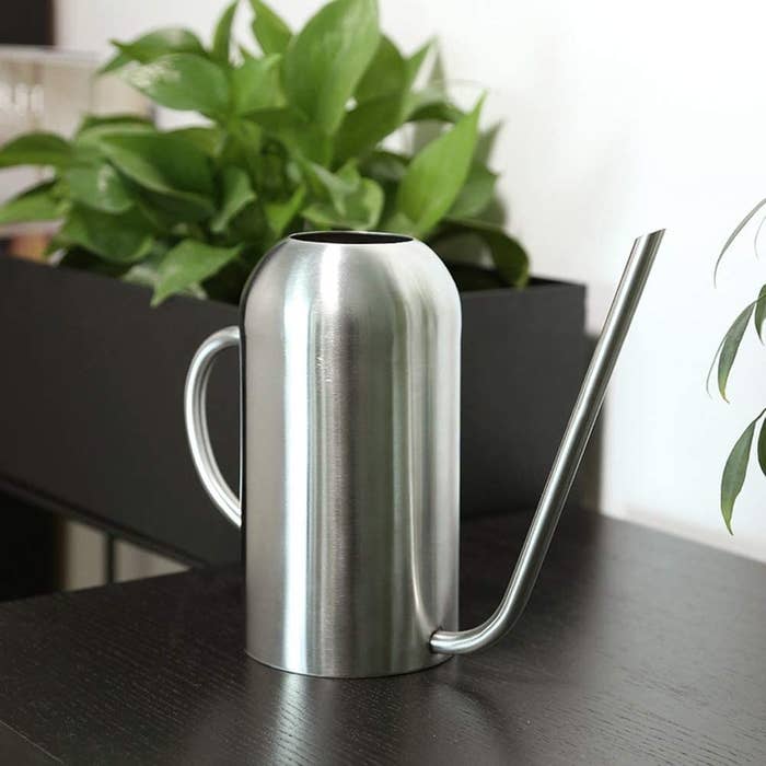 A stainless steel watering can with a super-long spout on a low table near some cute plants