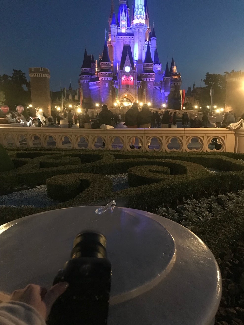 めっちゃ綺麗 プロが教えるディズニーの撮影テクが参考になりすぎる