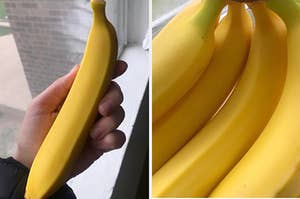 A smooth, bruise-less bunch of bananas