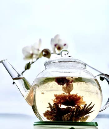reviewer image of blooming tea blooming in clear glass pot