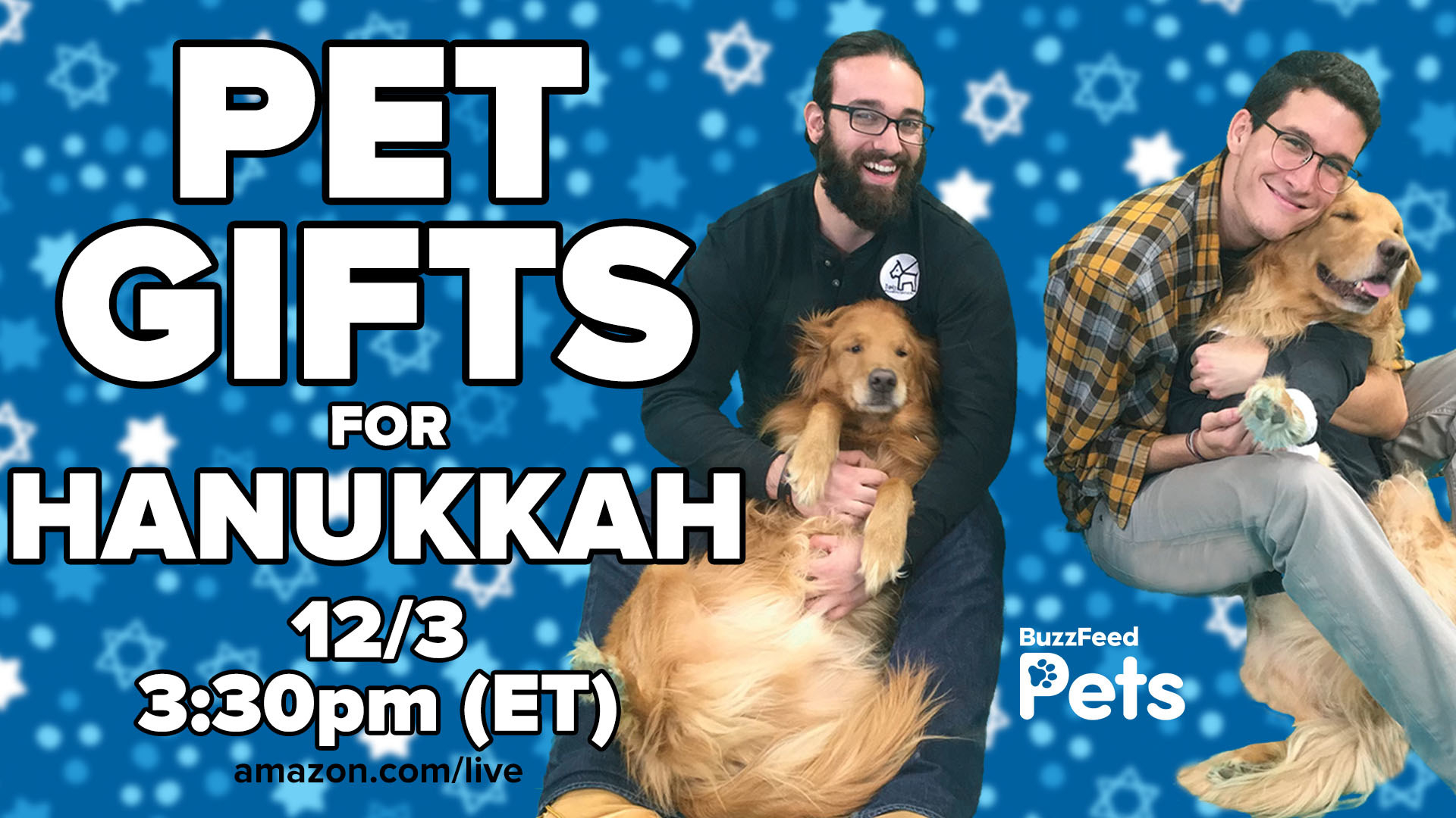 Psst, BuzzFeed Pets Does Livestreams Each Week And You'll Learn So Much