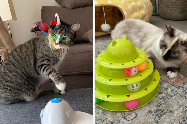 20 Things From Amazon That'll Help Even The Laziest Cats Get A Little More Exercise