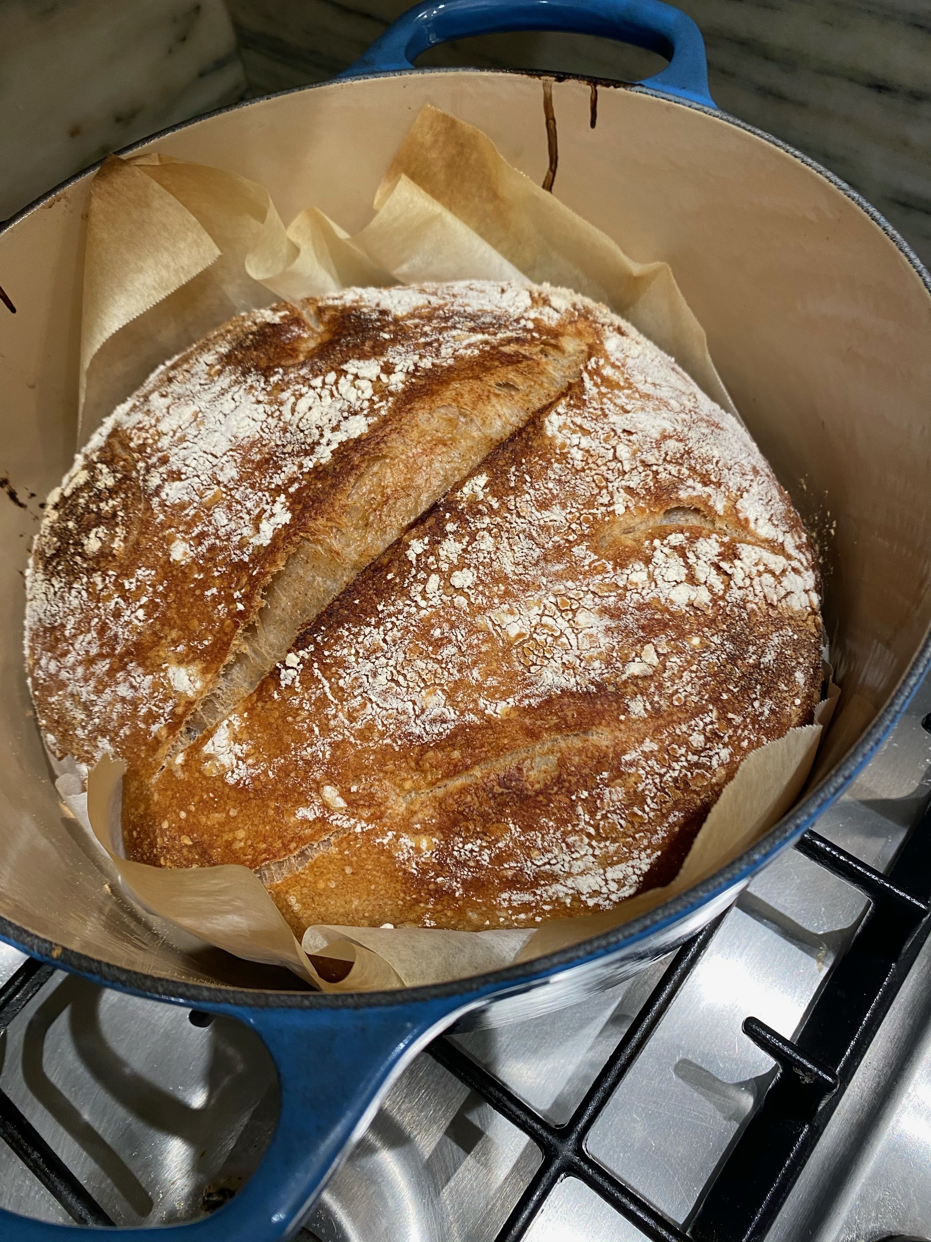 A freshly baked loaf of sourdough in a Dutch oven.