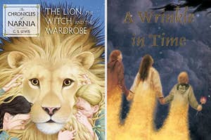 The Lion the Witch and the Wardrobe book cover and A Wrinkle in Time book cover
