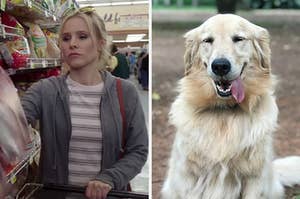 On the left, Kristen Bell slides chips into her grocery cart as Eleanor on "The Good Place," and on the right, a golden retriever with its tongue hanging out of its mouth
