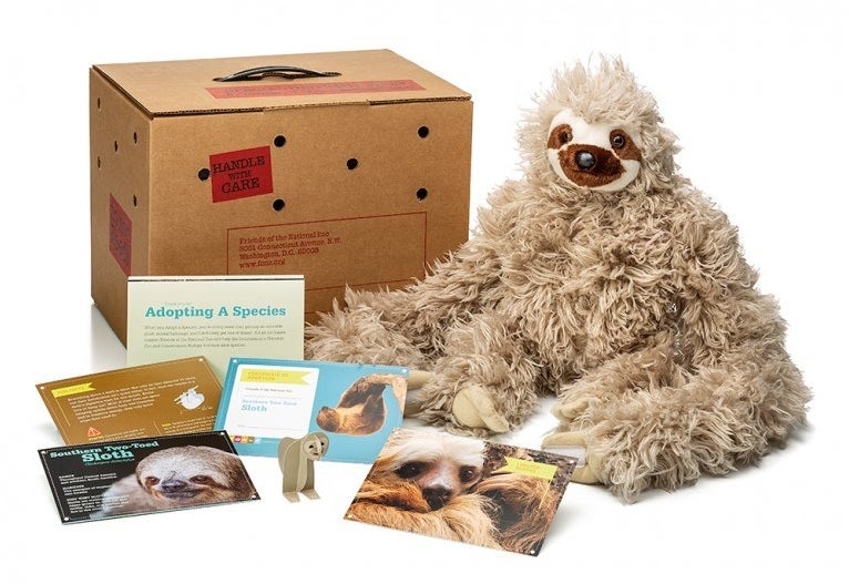 A sloth plushie sitting in front of a cardboard box with a mix of sloth-related fact cards and an adoption certificate 