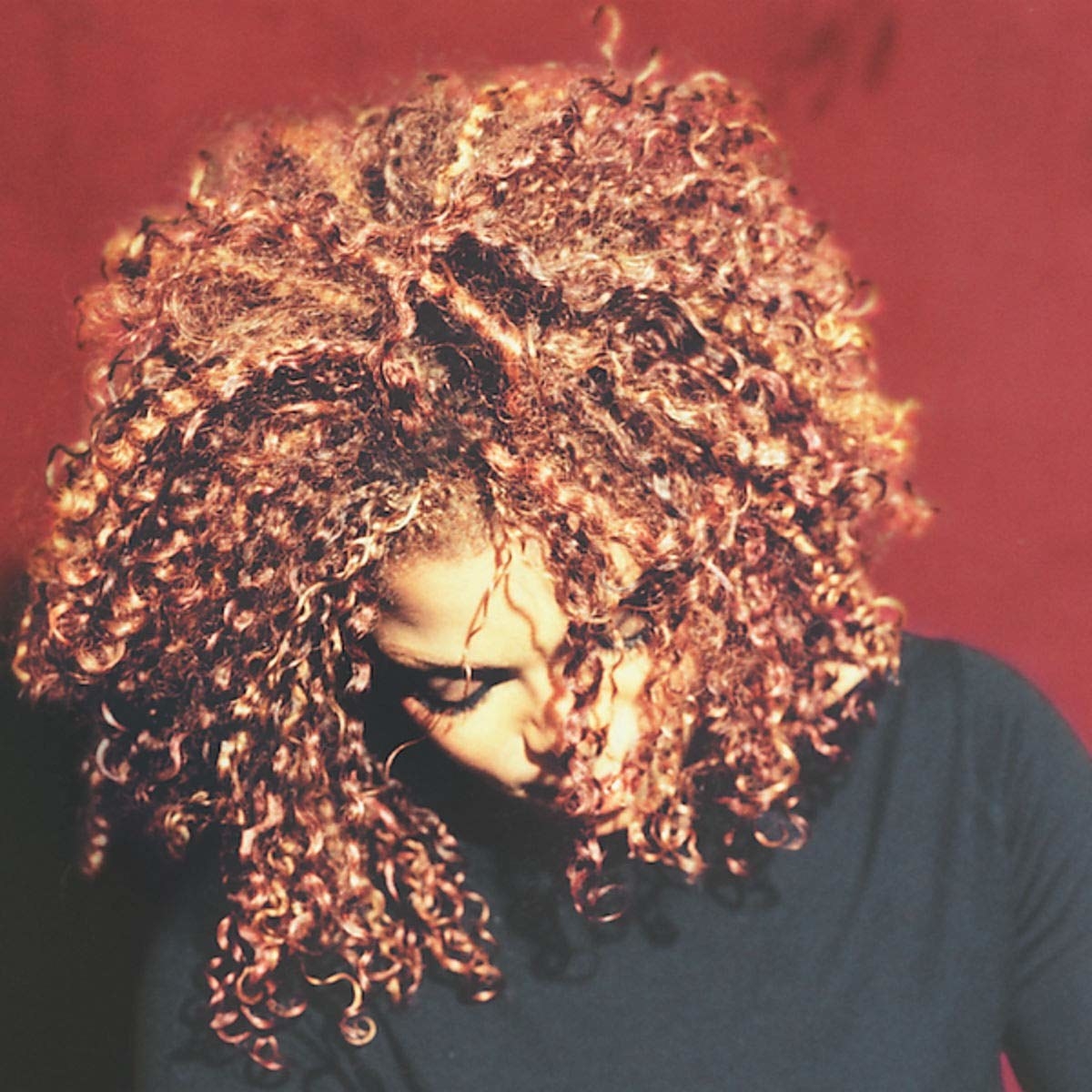 Cover of The Velvet Rope which features Janet looking down with her hair covering part of her face