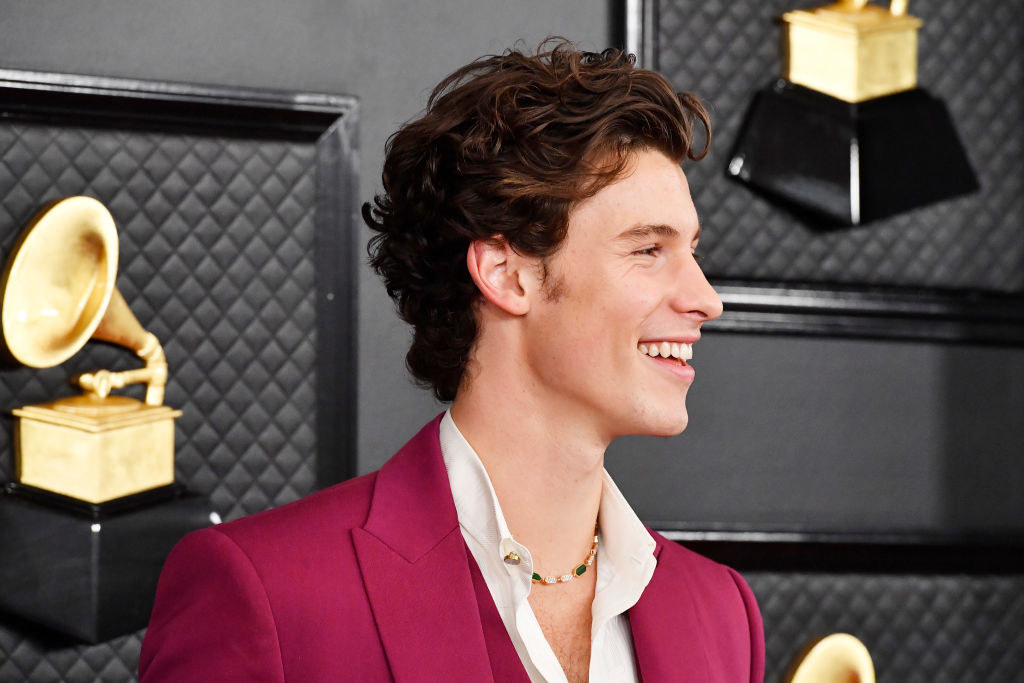 Shawn at the Grammys