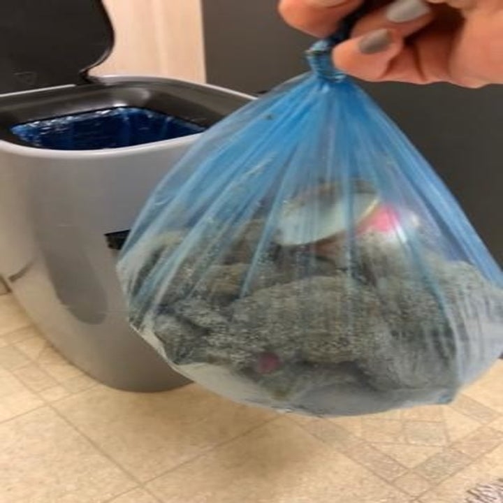 A bag of the disposal system's contents
