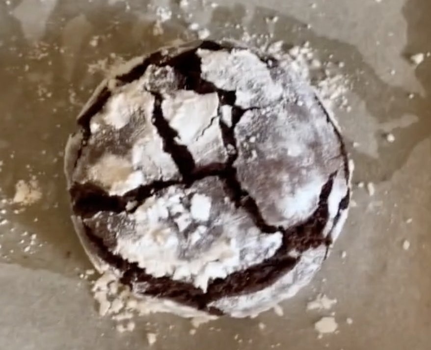 Chocolate cookies with tiny cracks and white powder on top