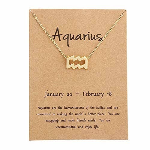 Aquarius zodiac necklace.