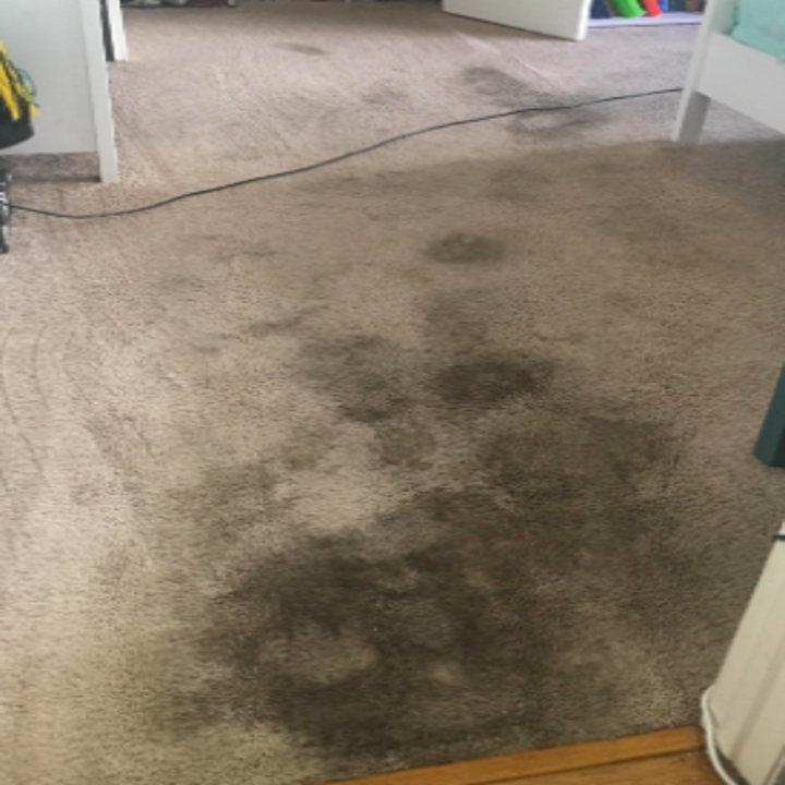 Very dirty cream carpet with black stains from dog